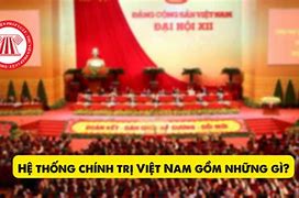 Cơ Quan Tổ Chức Chính Trị Xã Hội