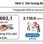 Hoạt Động Sản Xuất Nông Nghiệp Là Một Trong Những Cơ Sở Cho Sự Tồn Tại Của Con Người