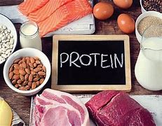 Lương Thực Thực Phẩm Nào Dưới Đây Chứa Nhiều Protein Nhất