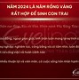 Sinh Con Tháng 8 Năm 2024 Có Tốt Không