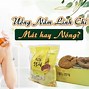 Uống Nấm Linh Chi Có Tác Dụng Như Thế Nào